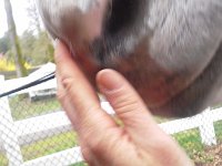 20160302 135556