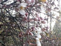 20160305 075324