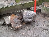 20160309 080259-1