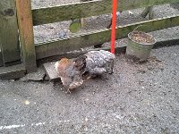 20160309 080259