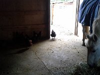 20160313 145906