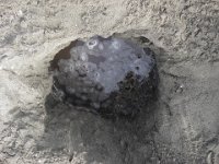 20160326 145346