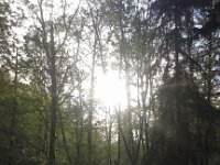 20160414 075423