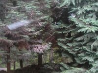 20160415 070755