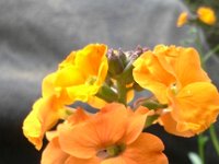 20160418 074443