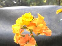 20160419 080013