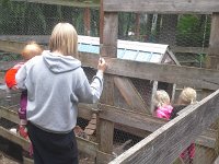 20160527 104330  Ingunn took care of all the babies while we were gone - bless your heart, Ingunn! You had family visiting from Norway and managed to take care of 8 chicks needing special handling morning and night!