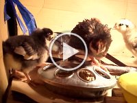 20160505 210234