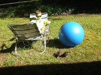 20160506 161238  Ben guards them during recess out on the lawn. They need to feel like "real" chickens.