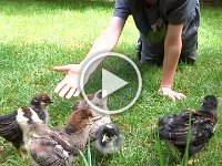 20160508 154309