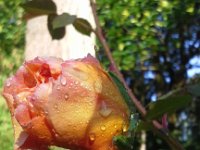 20160509 075726