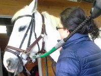 20160519 112113  Dee came to watch me ride once. That was really nice.