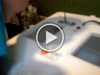 20160519 144831  We decided "yes" was the right answer. We knew that instantly, just needed to figure out the rest...kids, schools, rent the house... In the meantime, chicks were hatching!