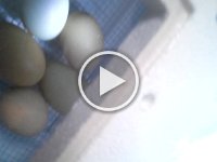 20160519 145927