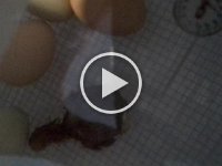 20160519 163422
