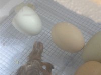 20160519 163607