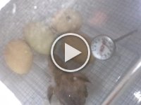 20160519 173625