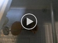 20160520 072918
