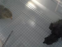 20160520 073339