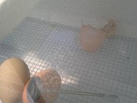 20160520 095612