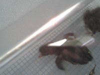 20160520 095707