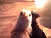 20160520 122503  Hi babies!