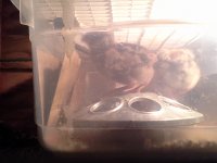 20160523 132048