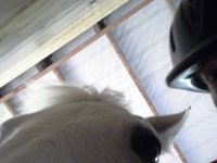 20160526 134848