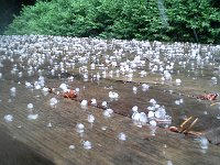 20160618 145739  Hail!
