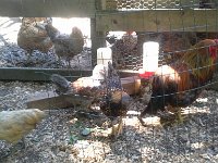 20160628 132845