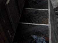 20160629 210600