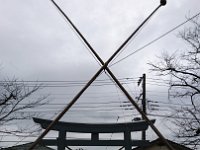 DSC 0207