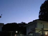 DSC 0224