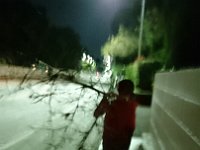 DSC 0226