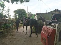 DSC 0273