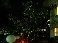 DSC 0299