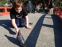DSC 0318