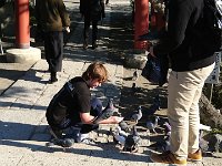 DSC 0320