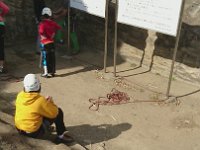DSC 0429