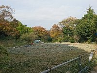 DSC 0464