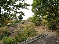 DSC 0493
