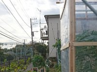 DSC 0494