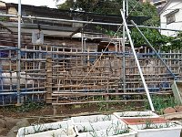 DSC 0496