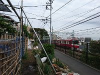 DSC 0498