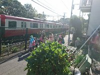 DSC 0560 1