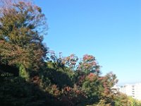 DSC 0575 1