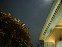DSC 0675