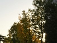 DSC 0683 1