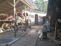 DSC 0688 1