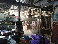 DSC 0694 1